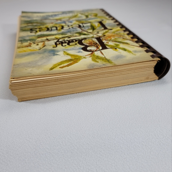 Bay Leaves A Collection Of Recipes - Junior Service League Panama City Florida - Picture 12 of 16